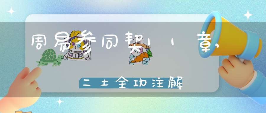 周易参同契11章,二土全功注解