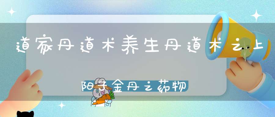 道家丹道术养生丹道术之上阳子金丹之药物和鼎器